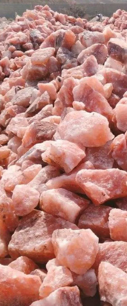 Freshly mined pink rock salt in the Salt Range